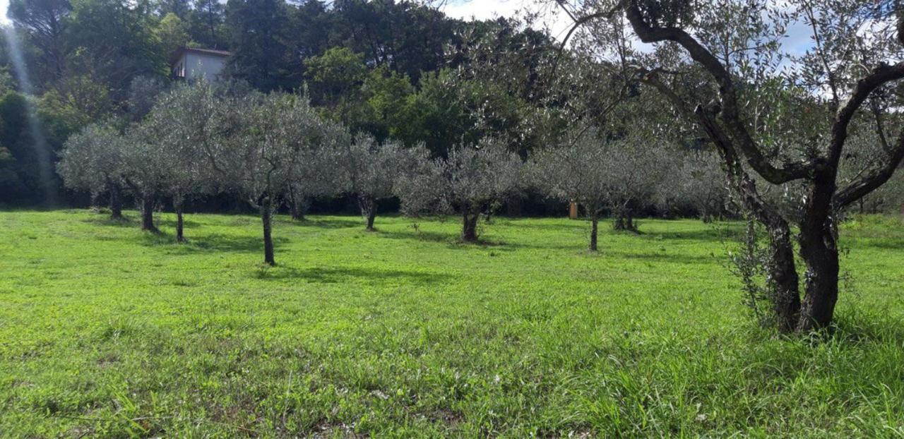 Agricampeggio Borgo Agna San Giustino Valdarno Exterior foto
