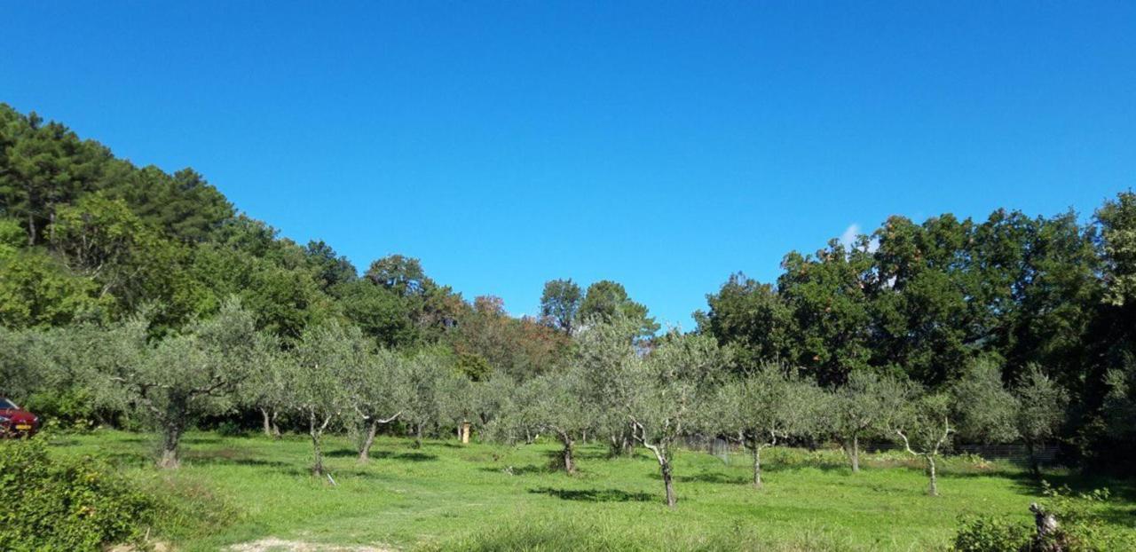 Agricampeggio Borgo Agna San Giustino Valdarno Exterior foto