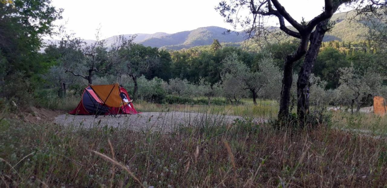 Agricampeggio Borgo Agna San Giustino Valdarno Exterior foto